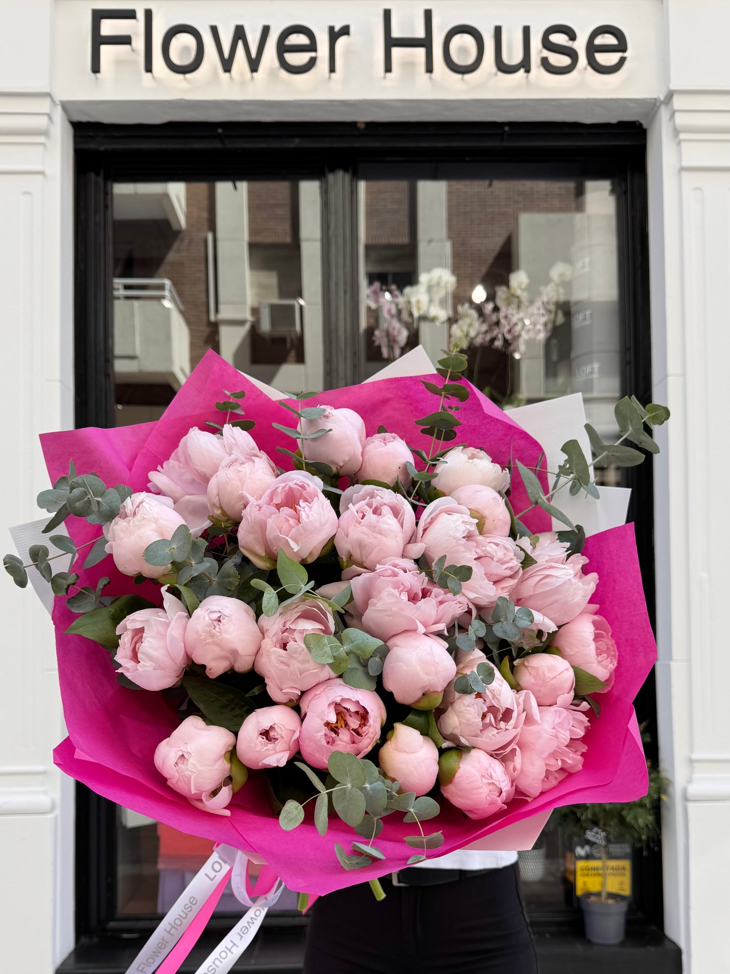 Peony Paradise
