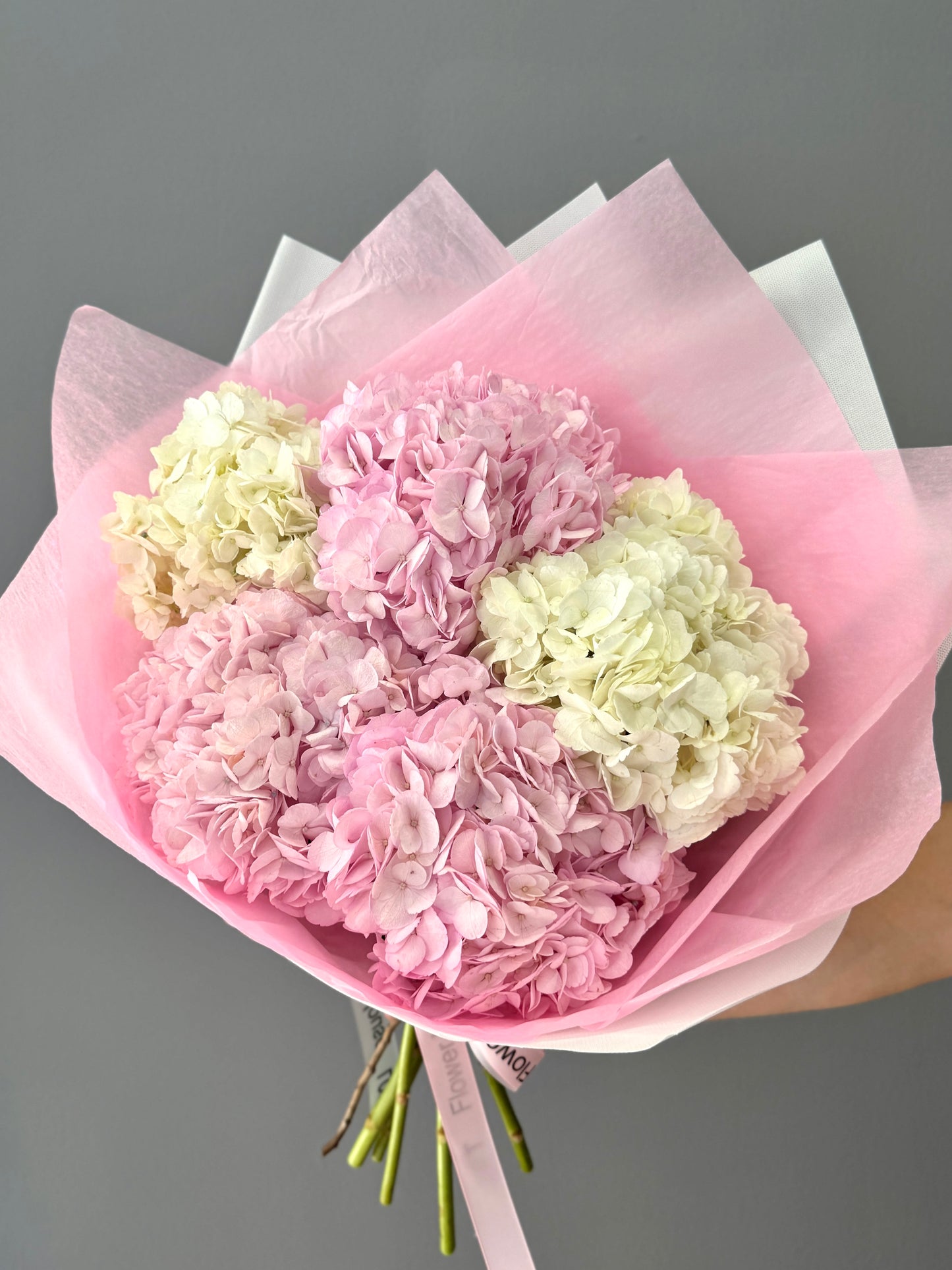 Nubes rosas y blancas