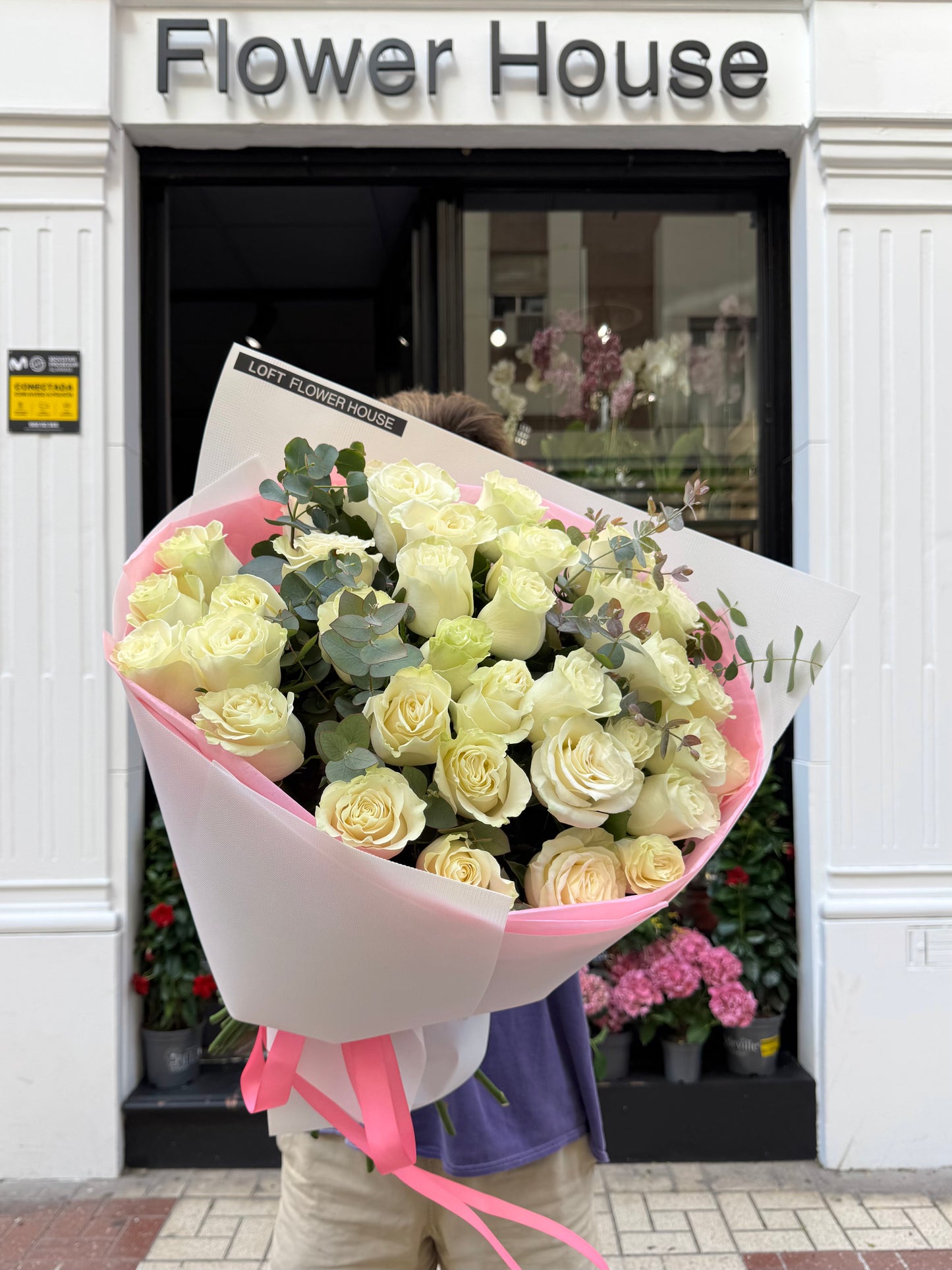 Rosas blancas Mondial y eucalipto