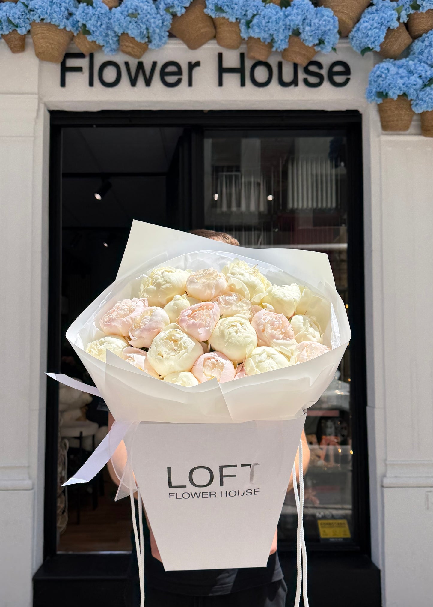 Atardecer de coral