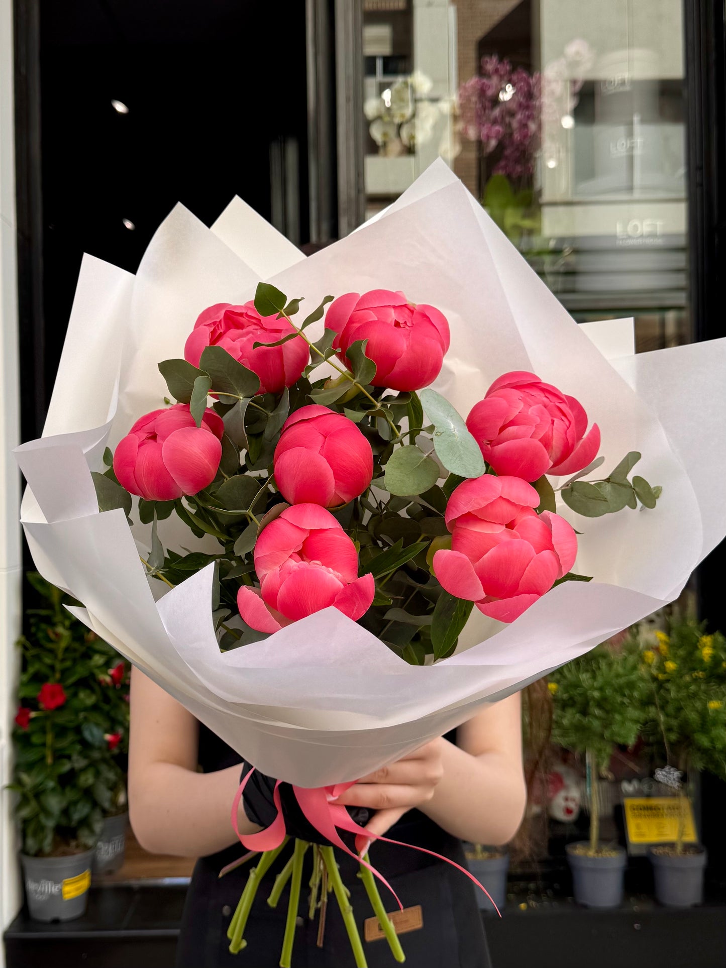 Whispers of Peony