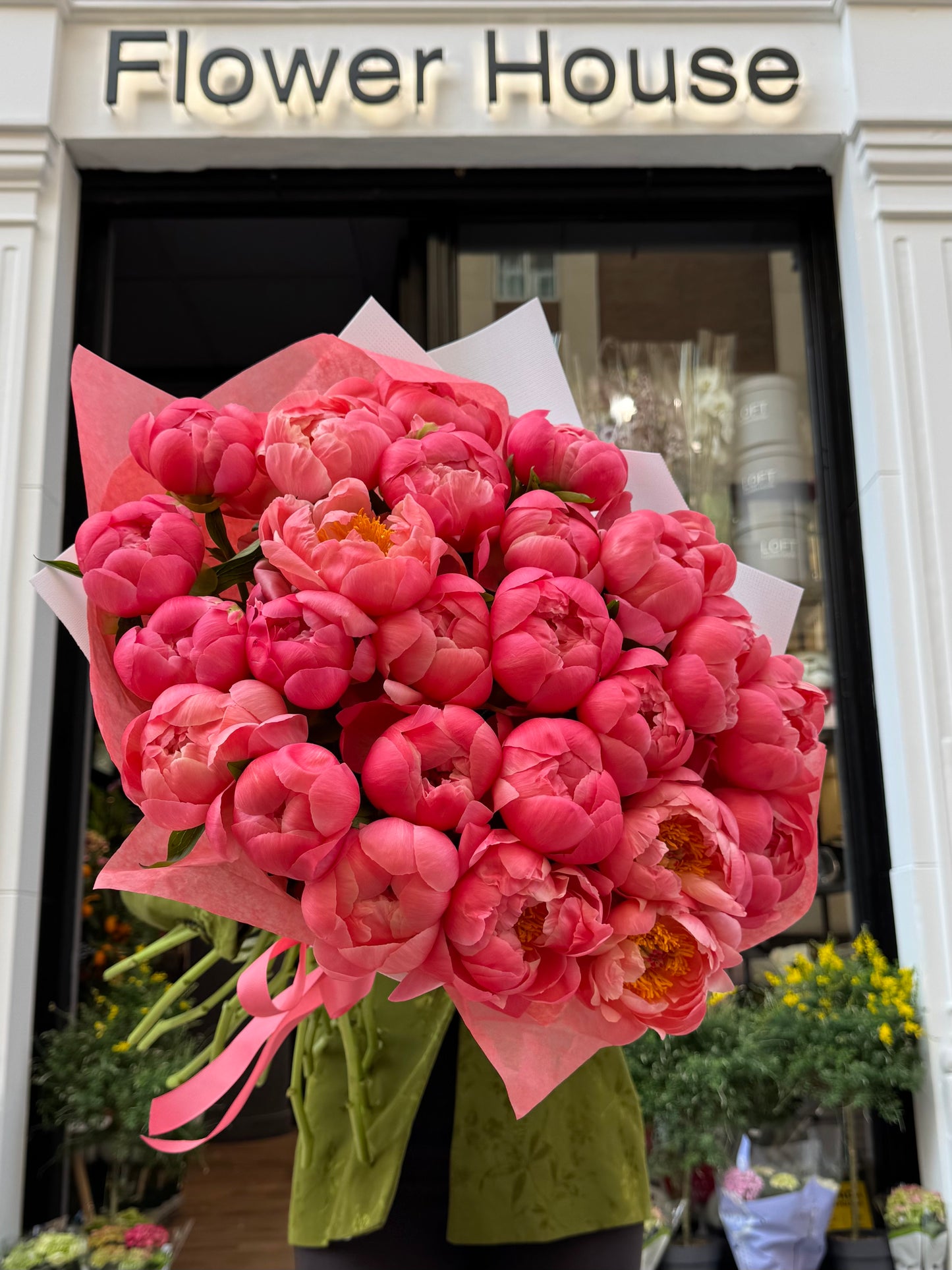Peony Dream