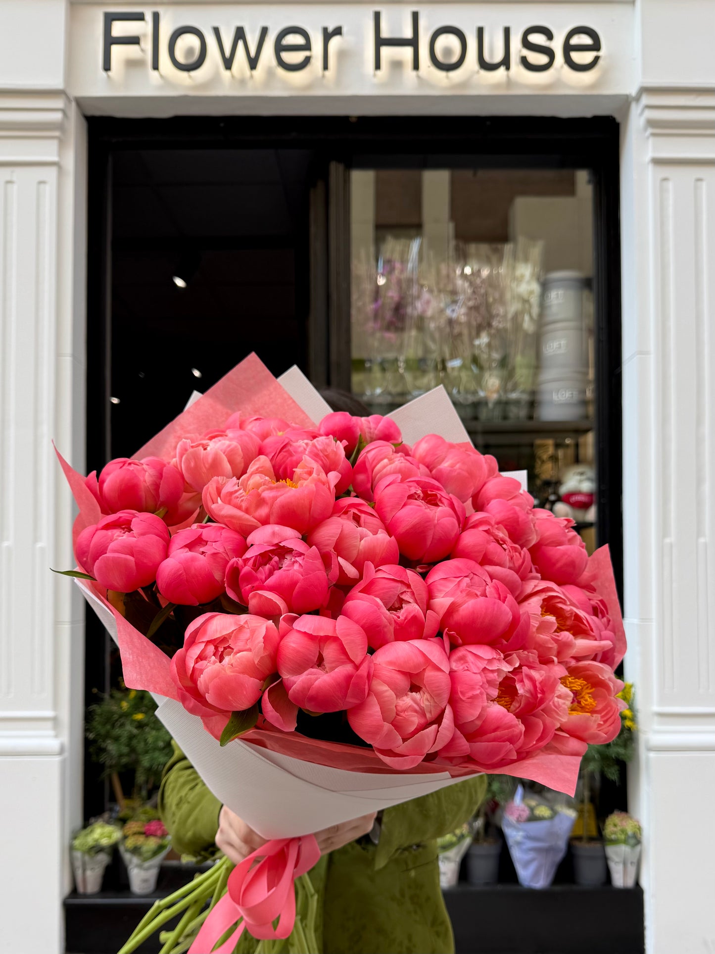 Peony Dream