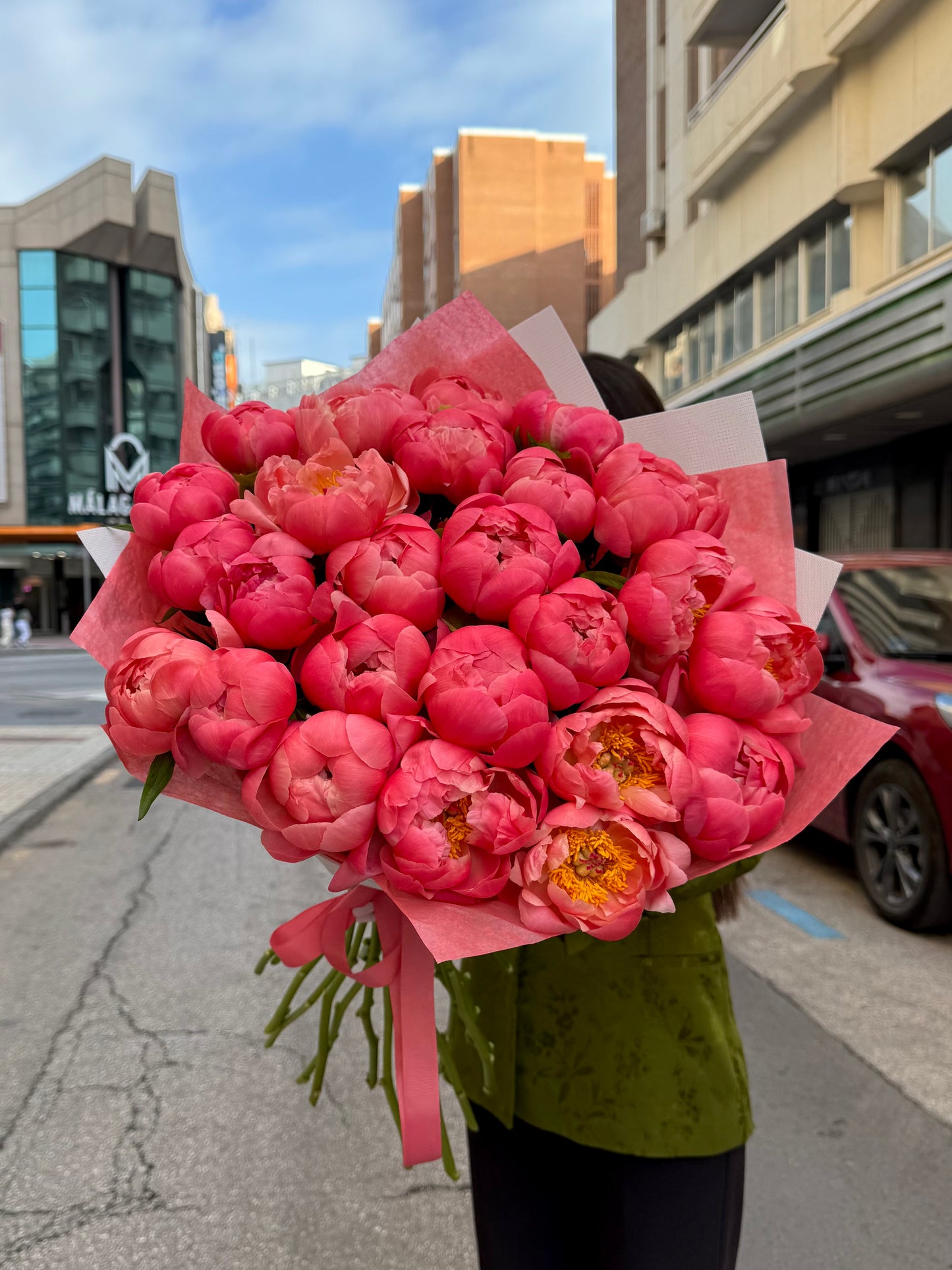 Peony Dream
