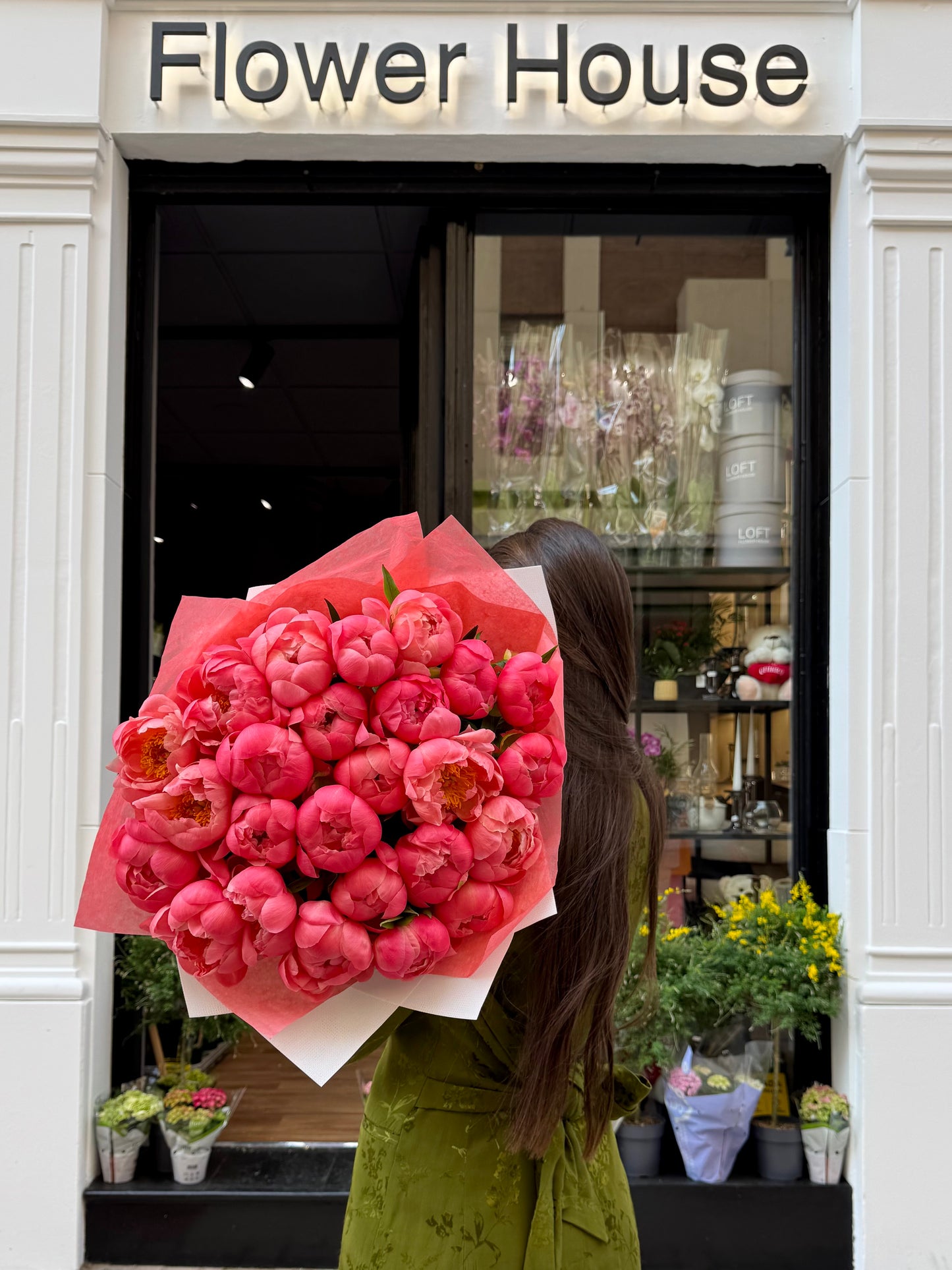 Peony Dream