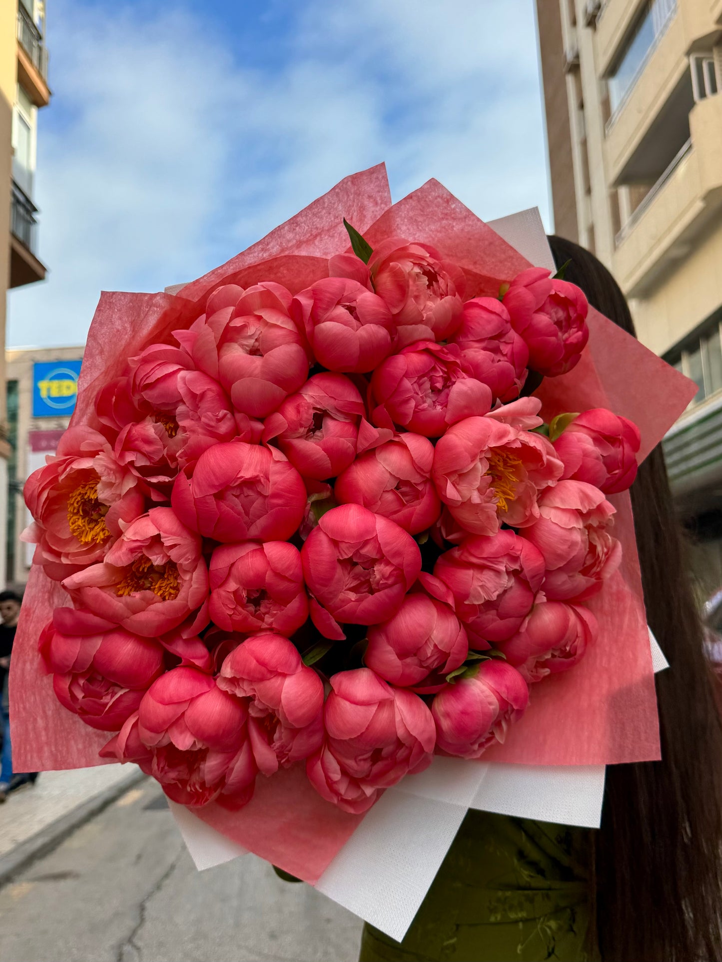 Peony Dream