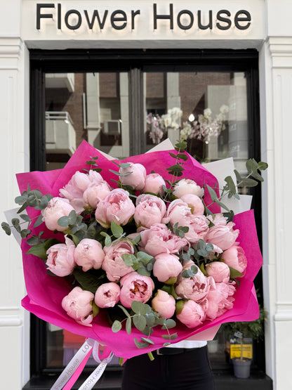 Peony Paradise