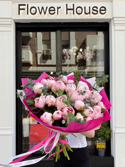 Peony Paradise
