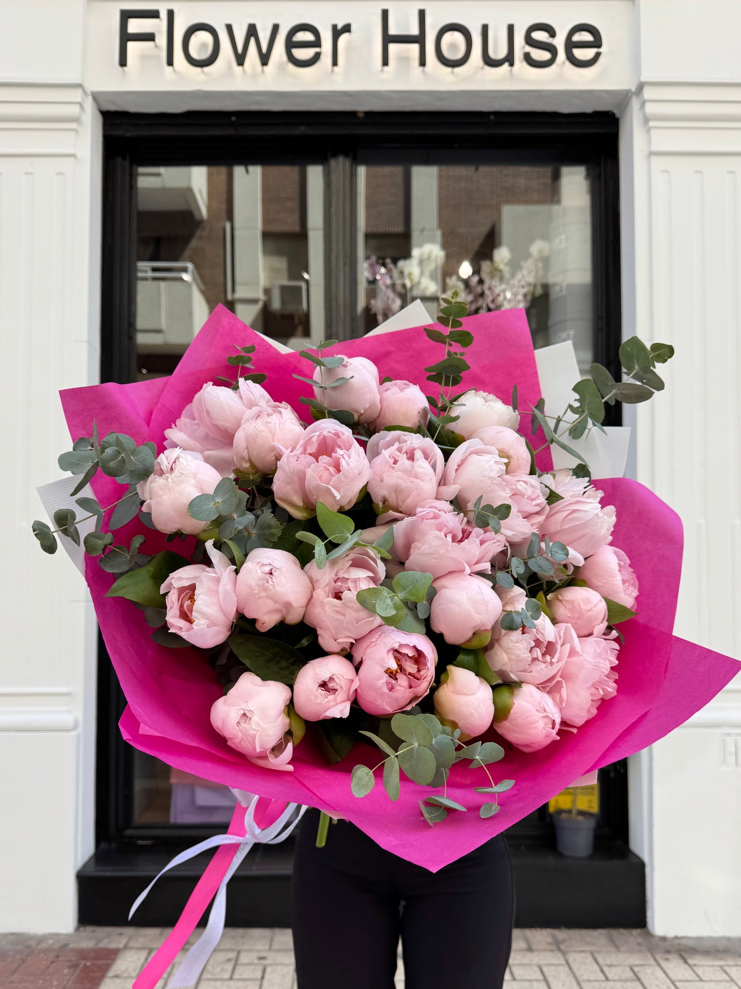 Peony Paradise