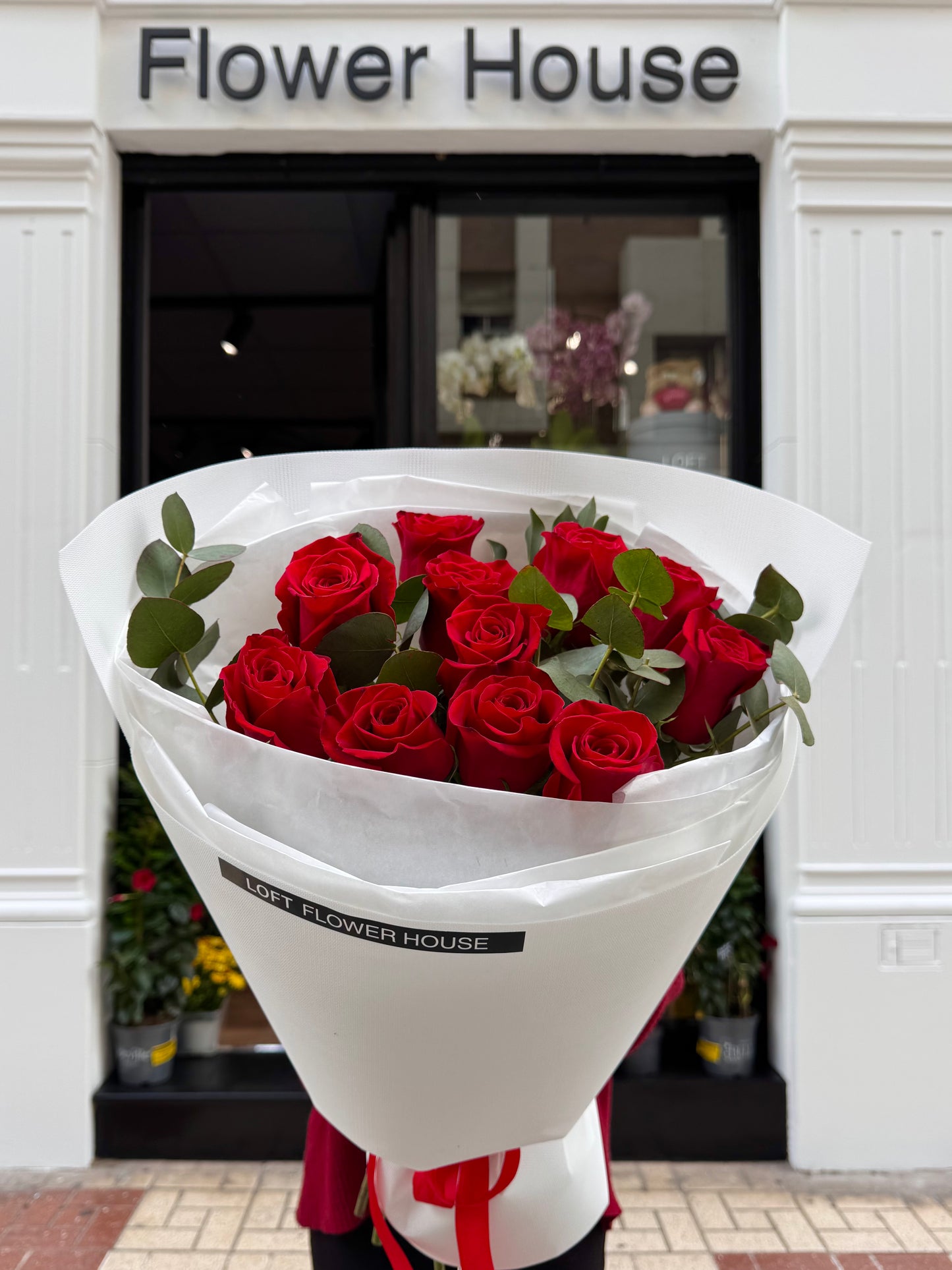 Rosa de medianoche