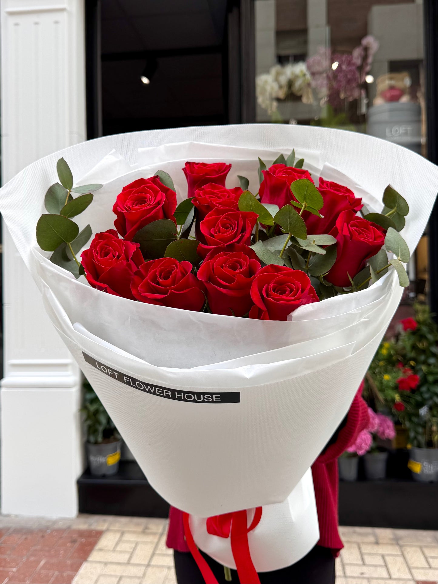 Rosa de medianoche