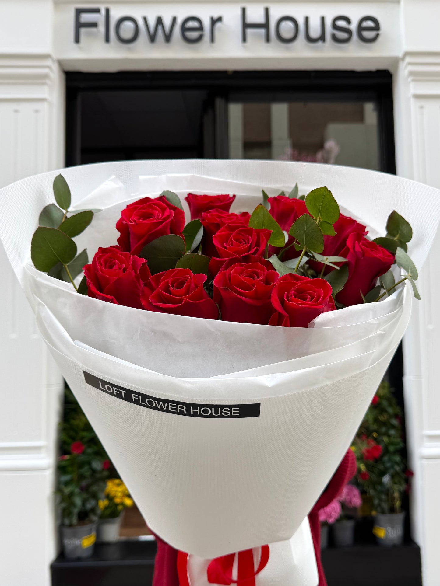 Rosa de medianoche