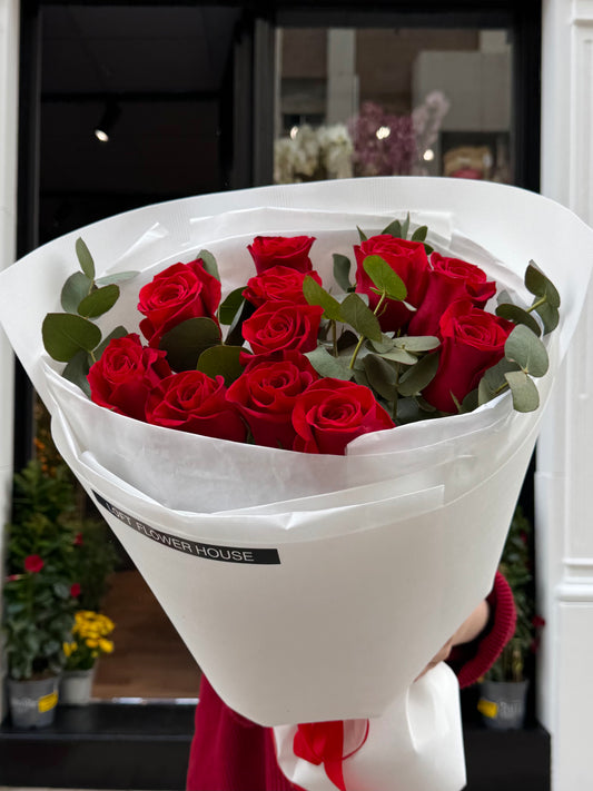 Rosa de medianoche