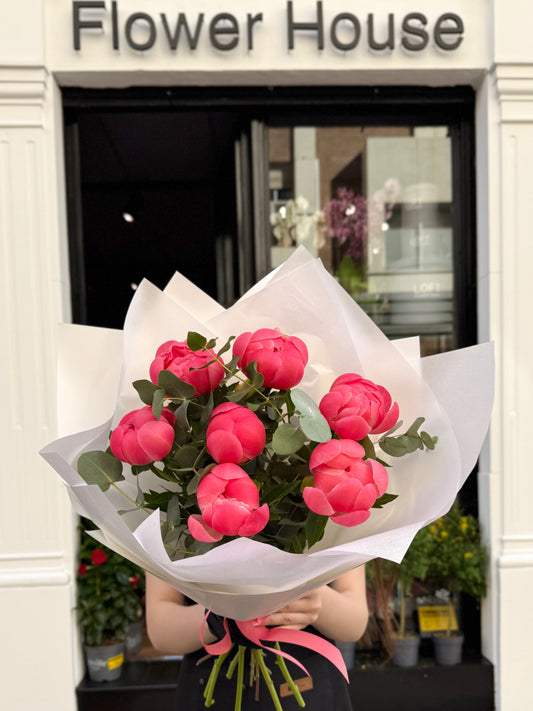 Whispers of Peony
