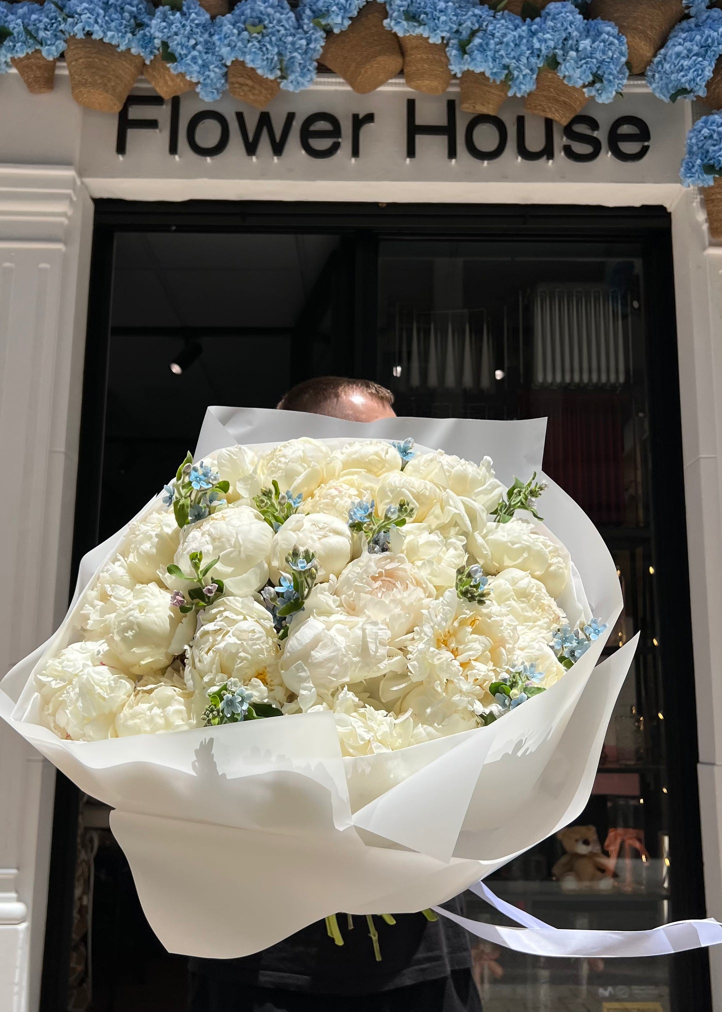 Blue Whisper - Peonies & Blue Oxypetalum