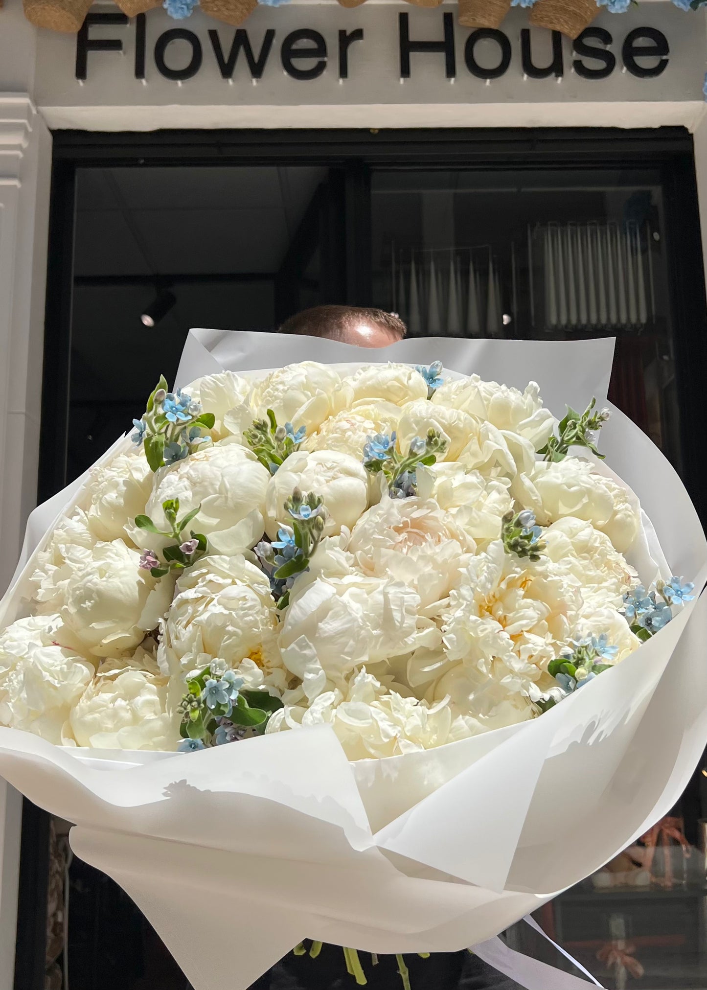 Blue Whisper - Peonies & Blue Oxypetalum