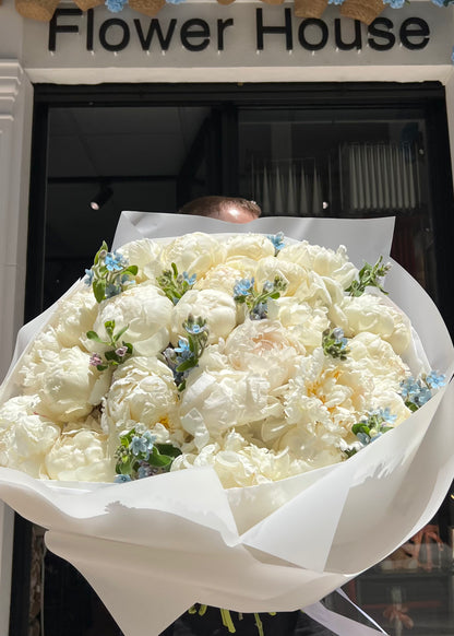 Blue Whisper - Peonies & Blue Oxypetalum