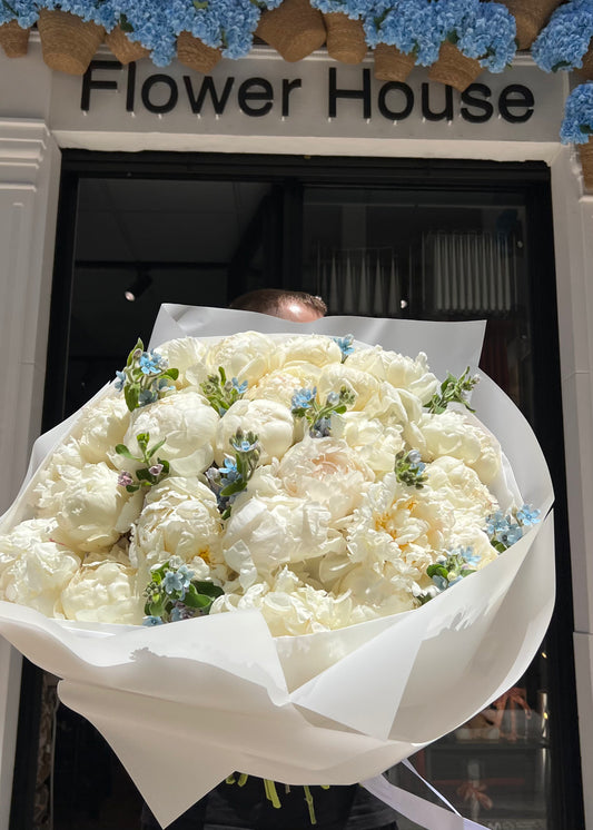 Morning Sky - White Peonies & Blue Oxypetalum