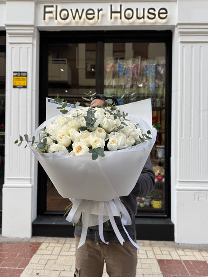 Garden Roses "White Cloud"