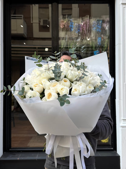 Garden Roses "White Cloud"