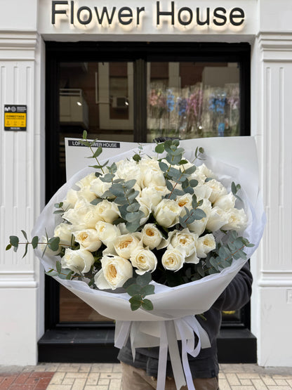 Garden Roses "White Cloud"