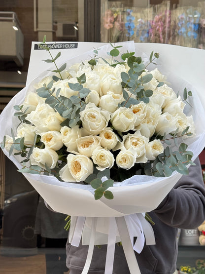 Garden Roses "White Cloud"