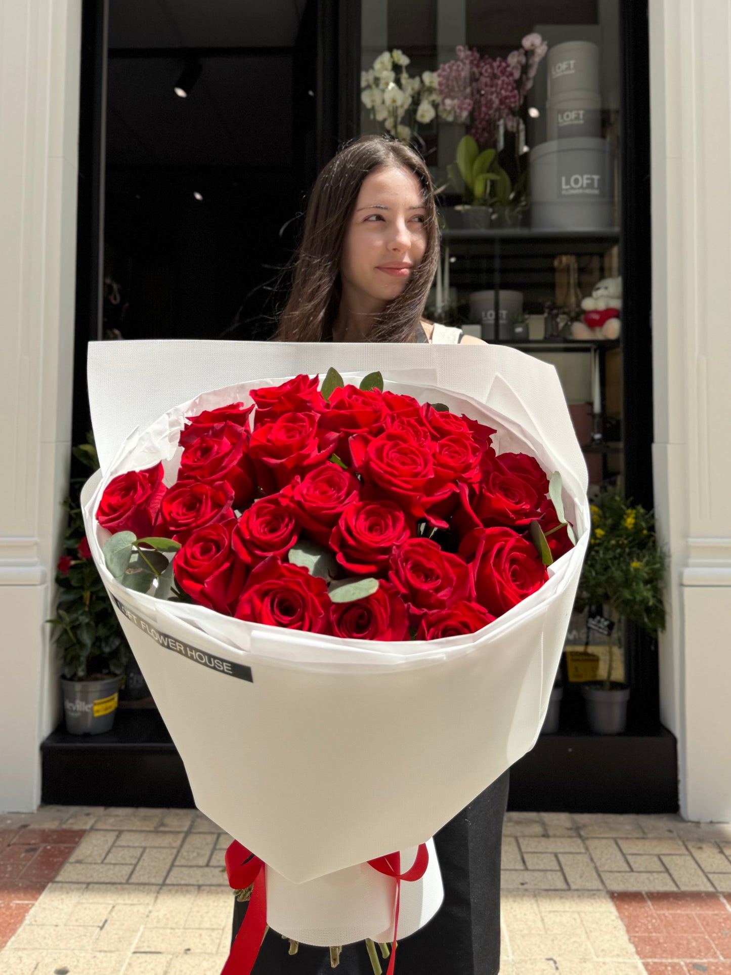 Rosa de medianoche