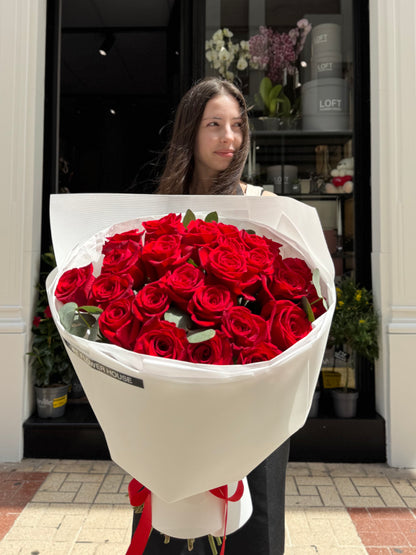 Rosa de medianoche