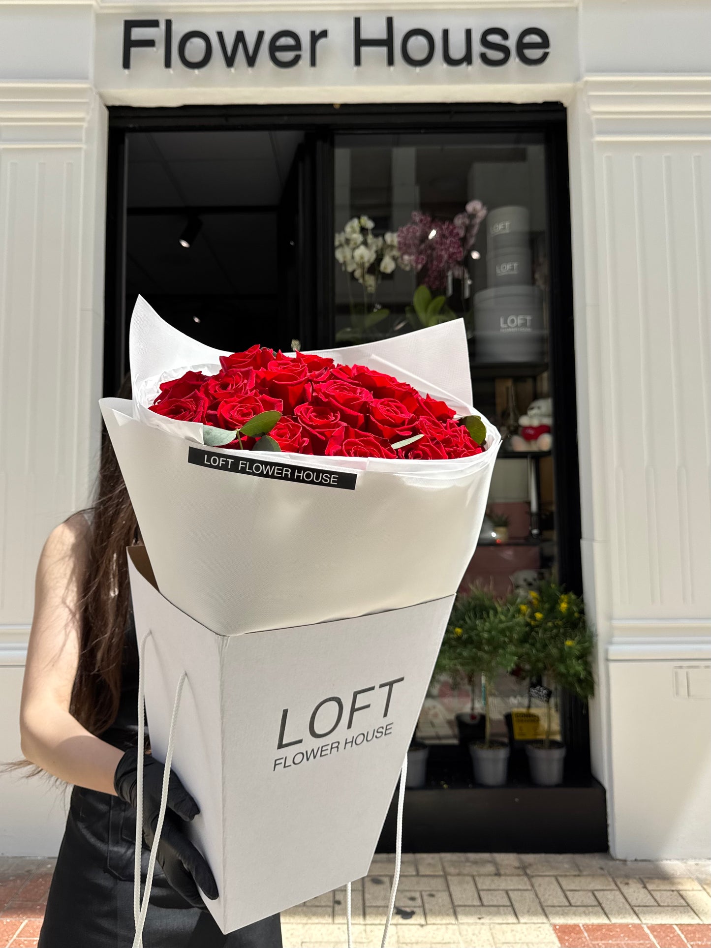 Rosa de medianoche