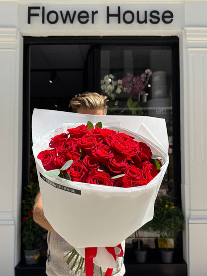 Rosa de medianoche