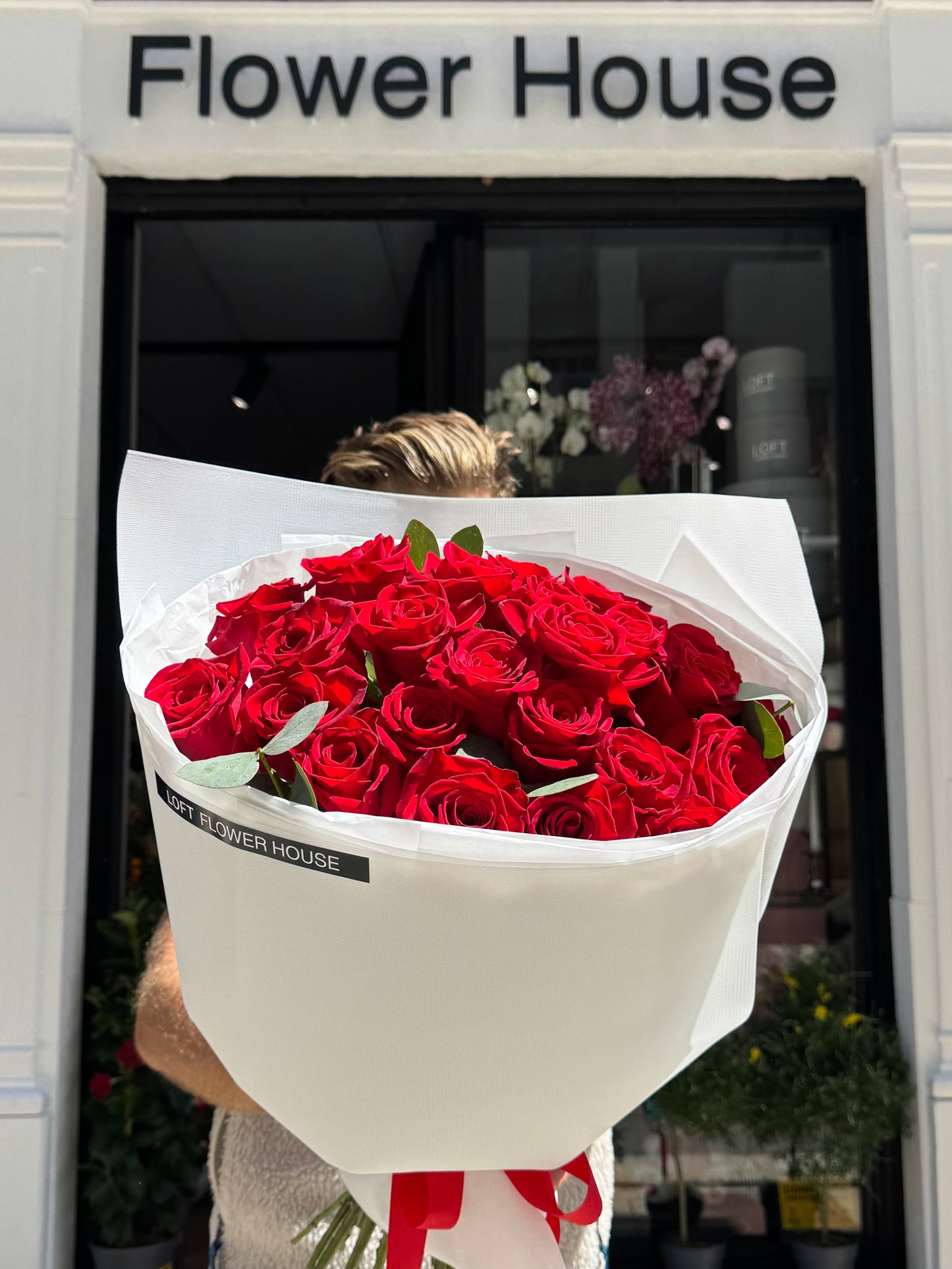Rosa de medianoche