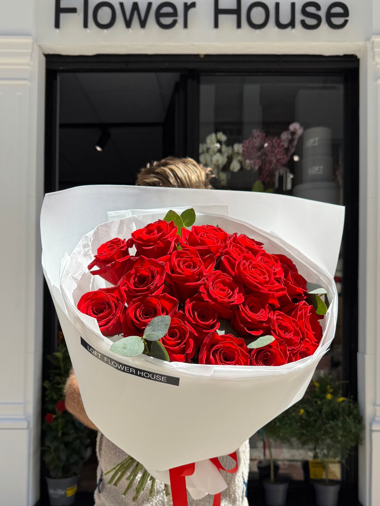 Rosa de medianoche
