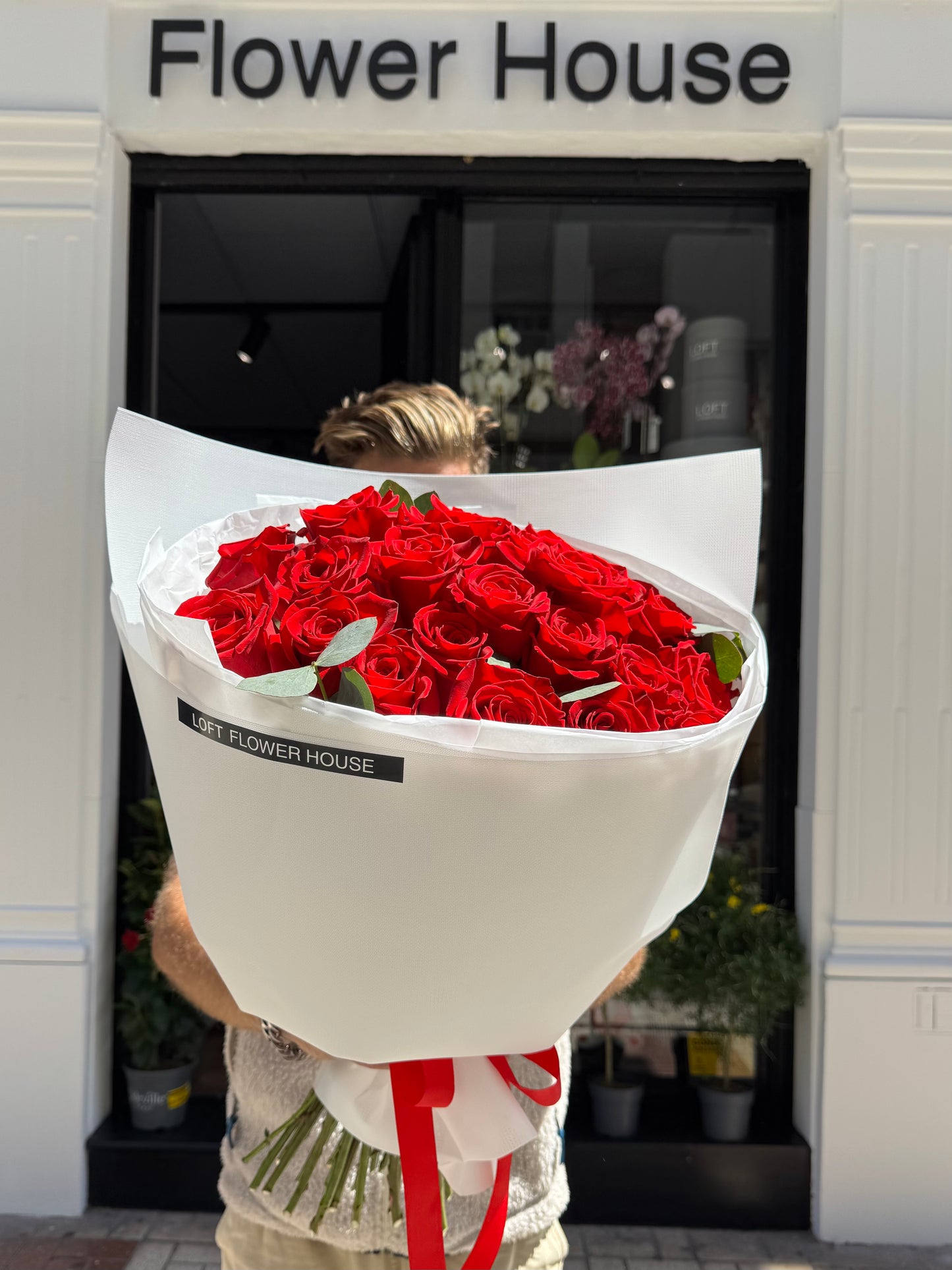 Rosa de medianoche