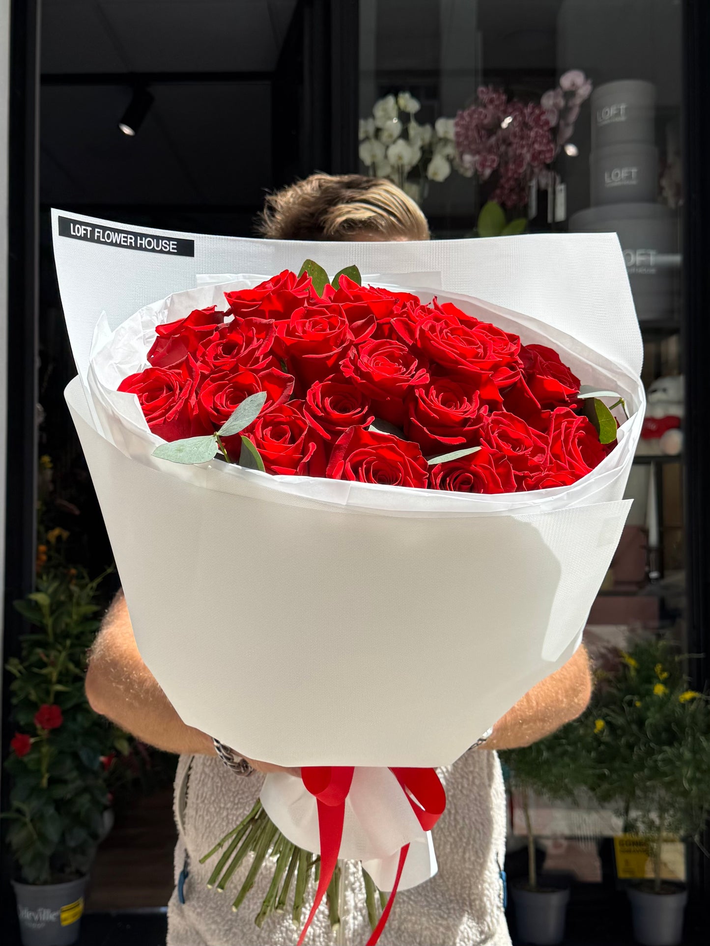 Rosa de medianoche