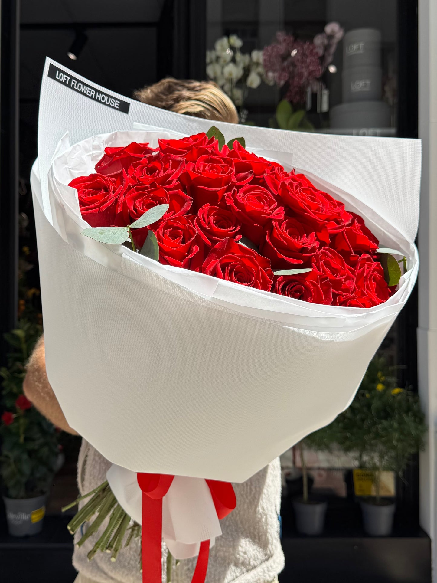 Rosa de medianoche