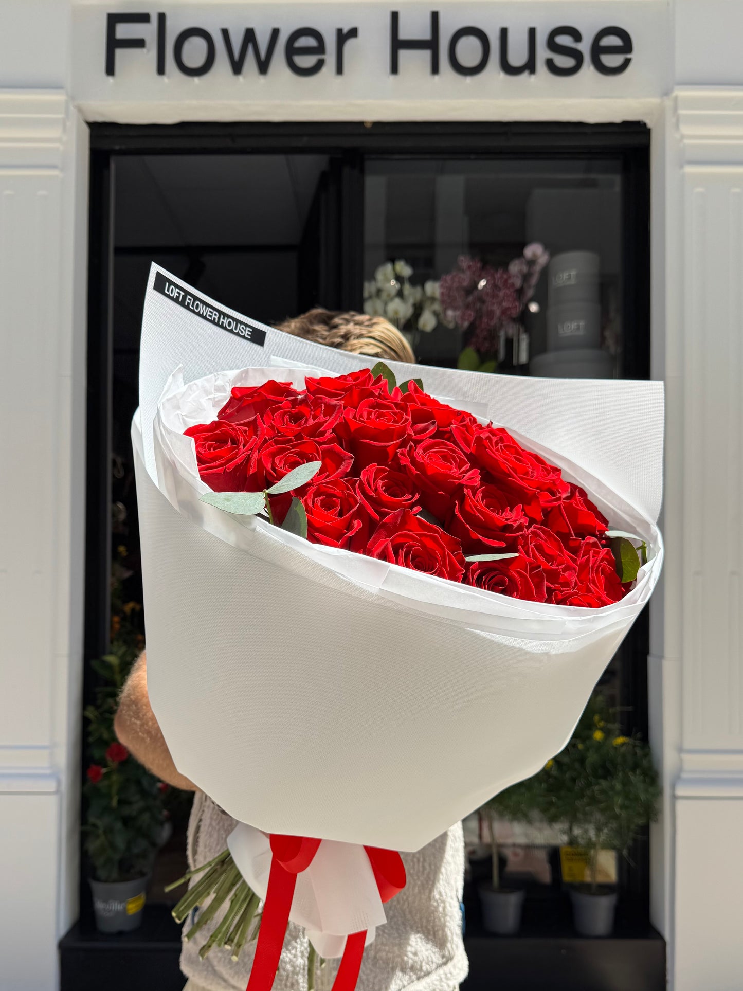 Rosa de medianoche