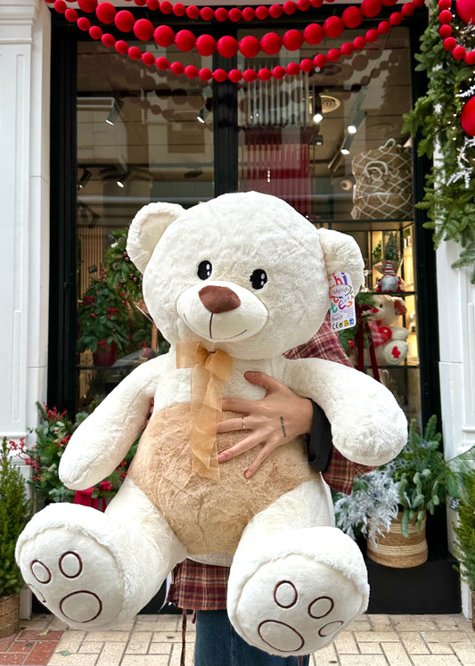 Big Teddy Bear