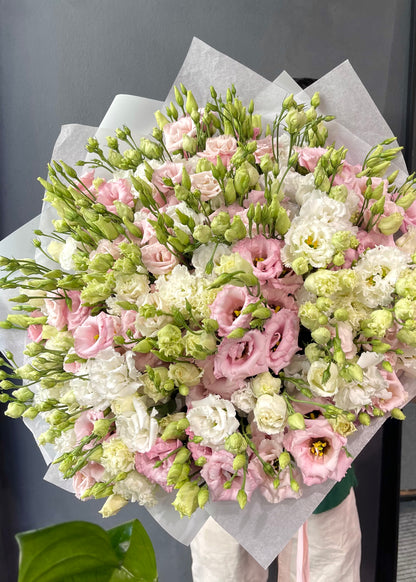 Pink & White Lisianthus