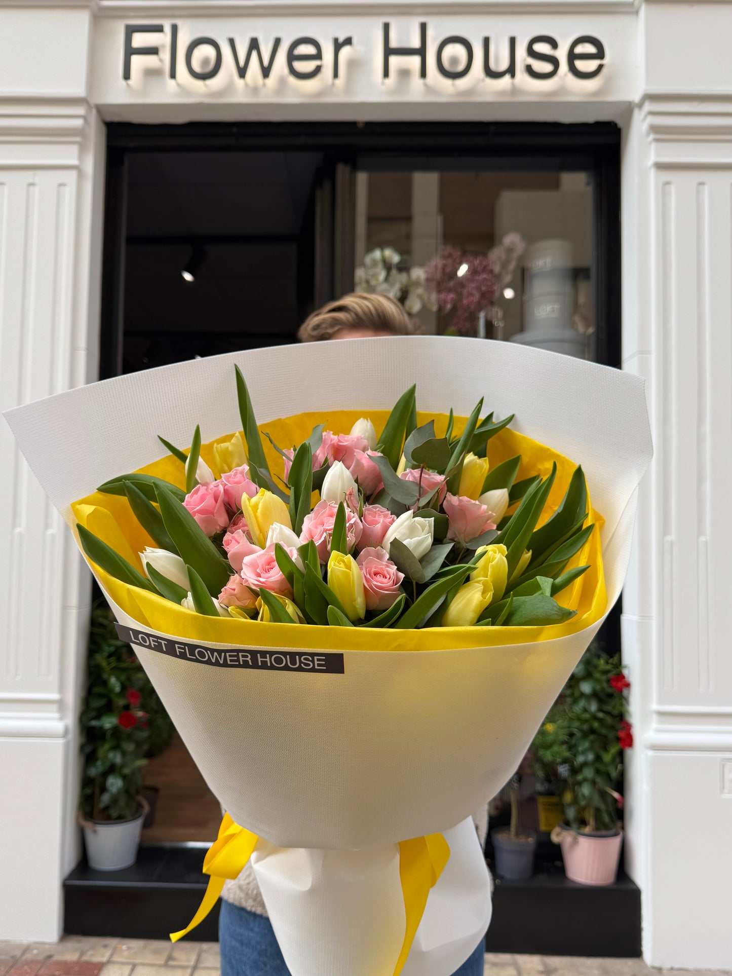 Spring Blooms