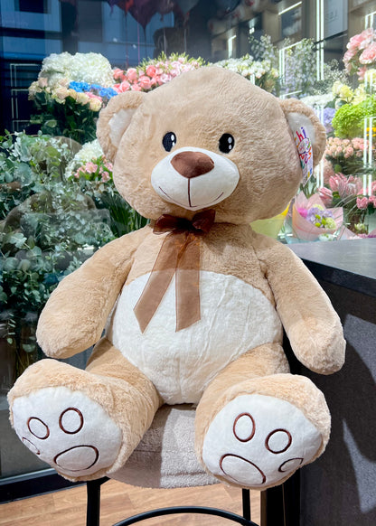 Big Teddy Bear