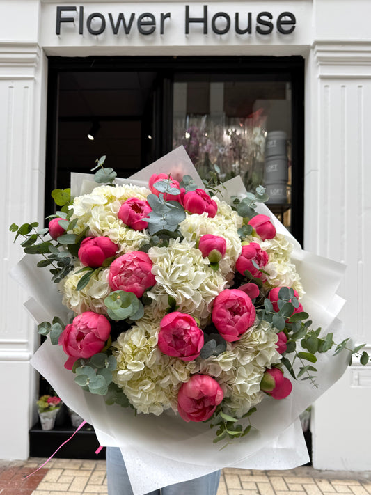 Armonía rosa S