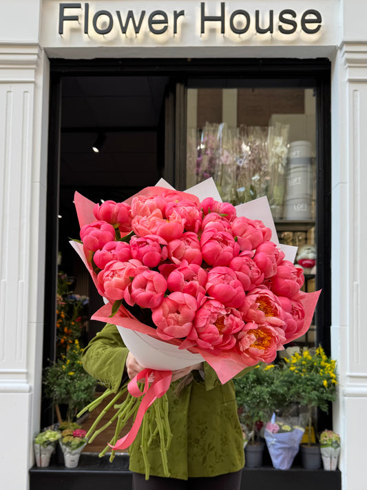 Peony Dream