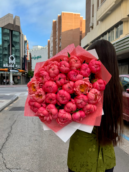 Peony Dream