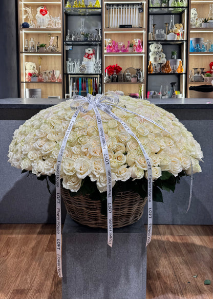 500 rosas blancas premium