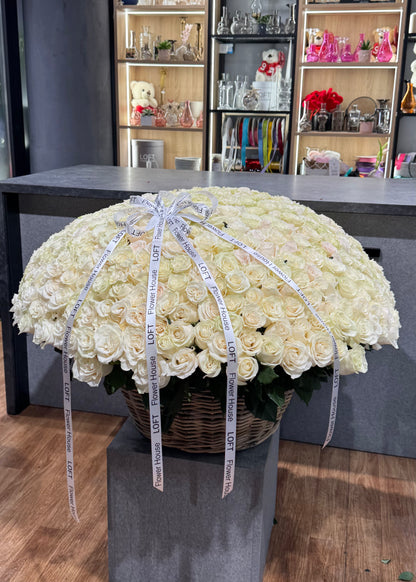 500 rosas blancas premium