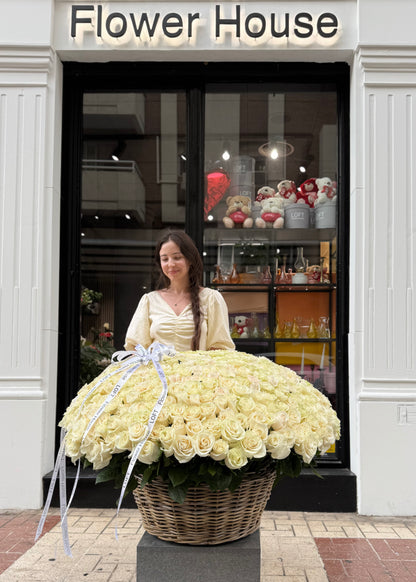 500 rosas blancas premium