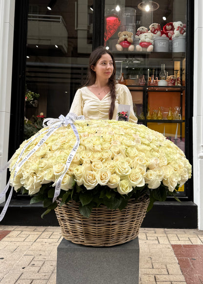 500 rosas blancas premium