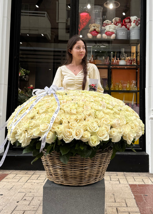 500 Premium White Roses