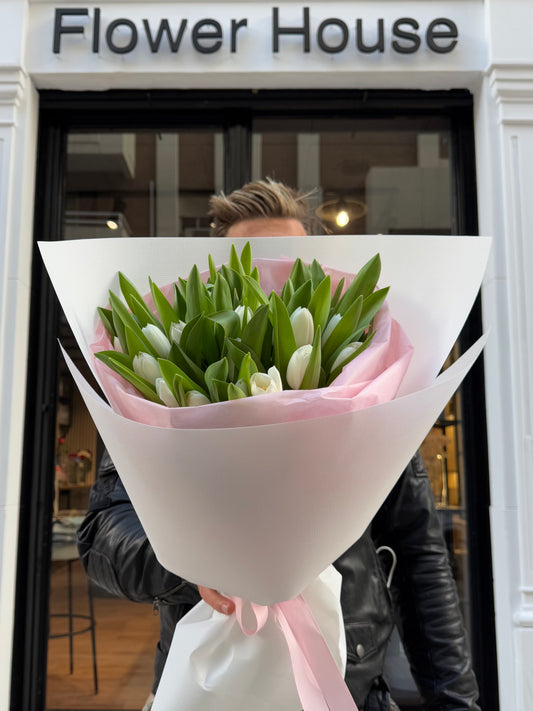 Tulipanes blancos