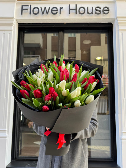 51 Tulips